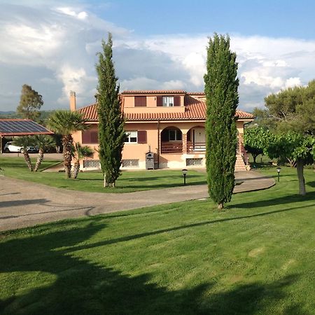 Bed & Breakfast La Volpe E L'Uva Santa Marinella Exterior photo