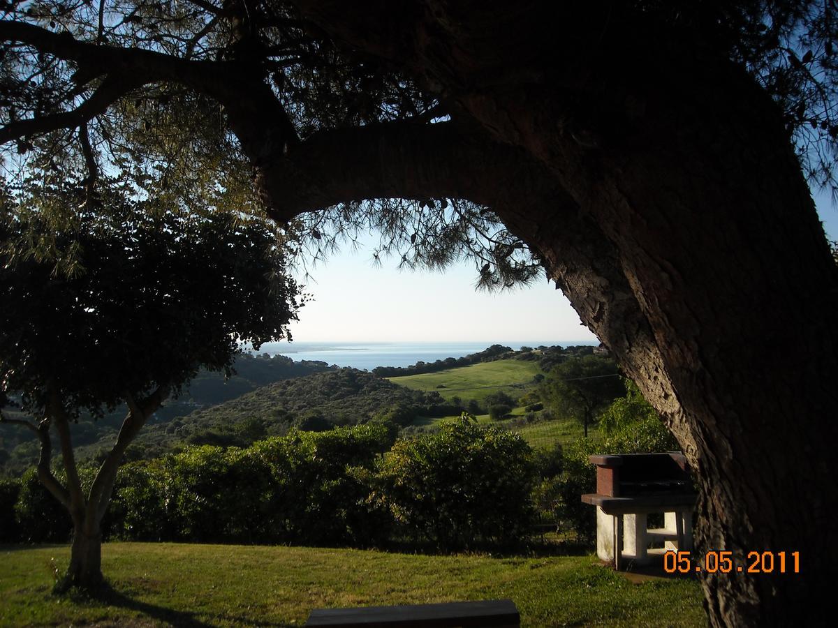 Bed & Breakfast La Volpe E L'Uva Santa Marinella Exterior photo