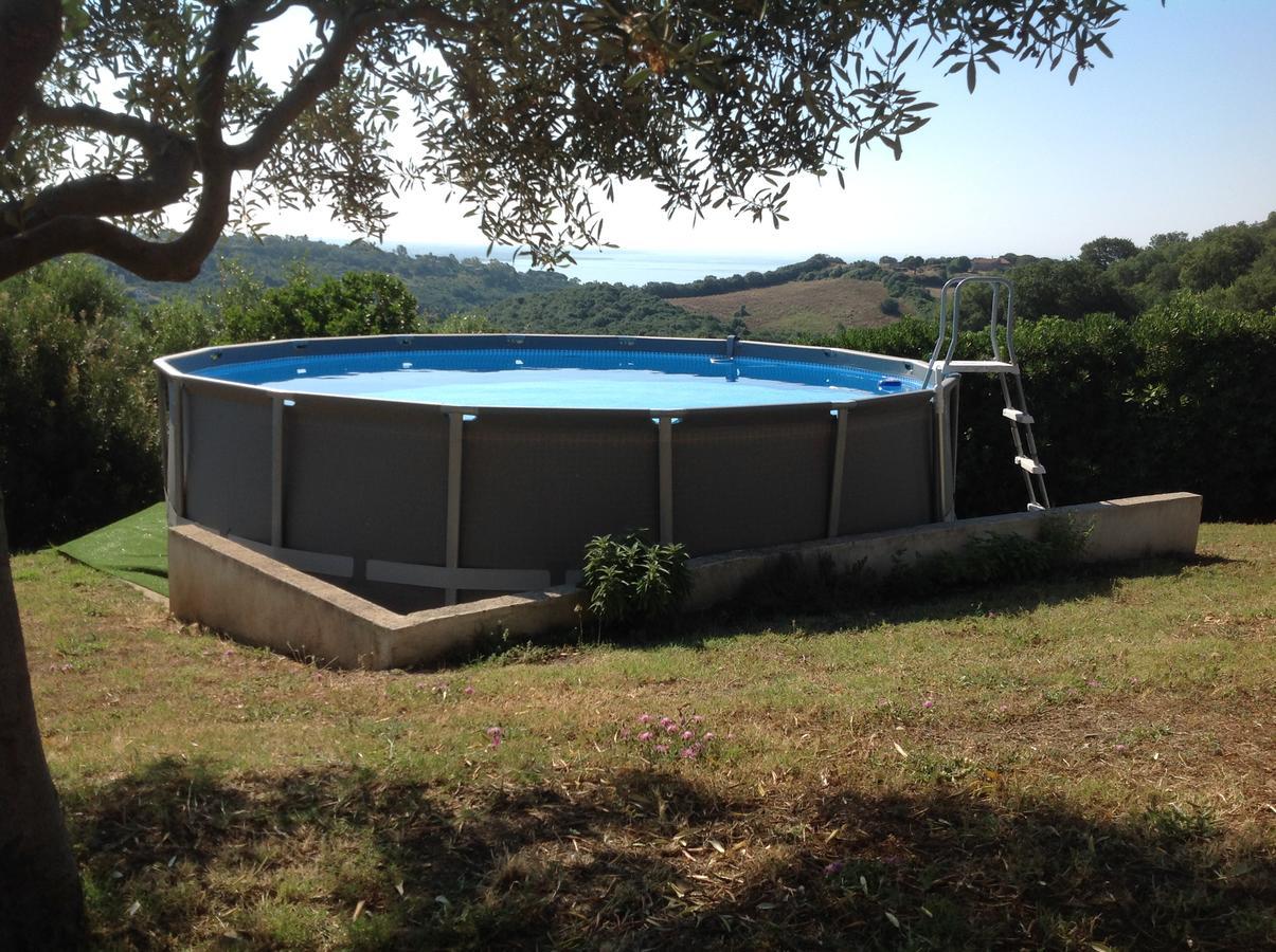 Bed & Breakfast La Volpe E L'Uva Santa Marinella Exterior photo